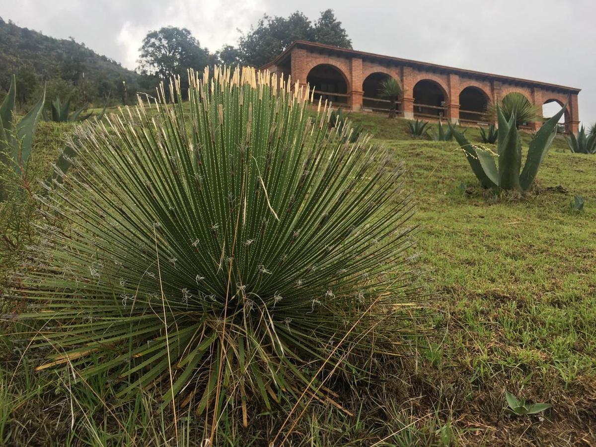 מלון Tlaxco Rancho Escondido Casa Goyri מראה חיצוני תמונה